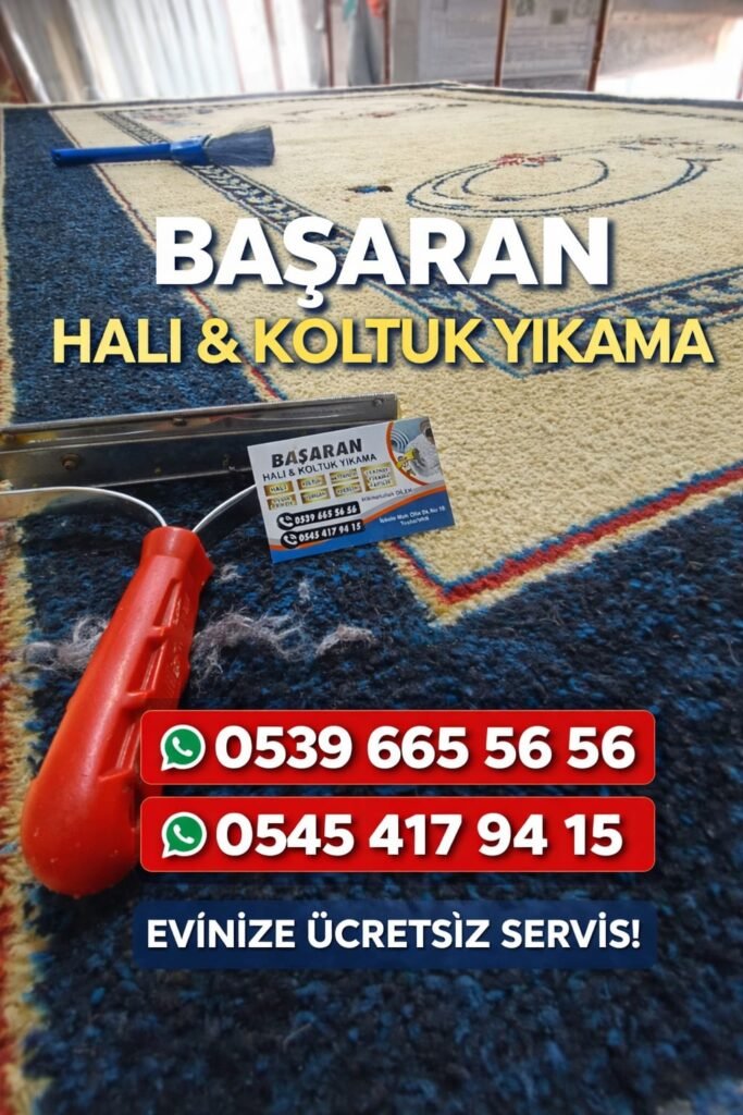 WhatsApp Image 2026 01 31 At 22.20.51 2 683x1024